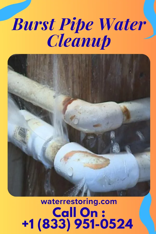 Burst Pipe Water Cleanup in Wenatchee, WA