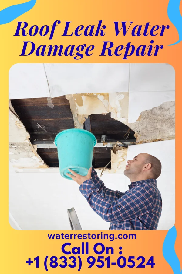 Roof Leak Water Damage Repair in Wenatchee, WA