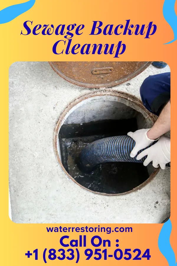 Sewage Backup Cleanup in Wenatchee, WA